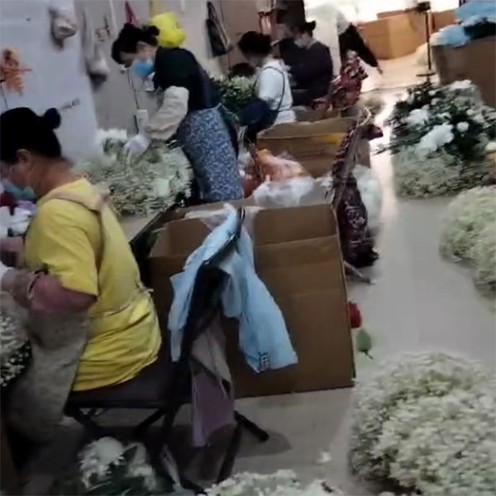 flower arrangement flower arrangement